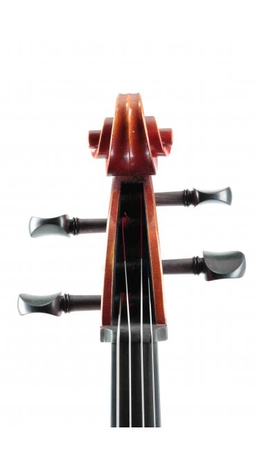 Chinese makers cello 2024