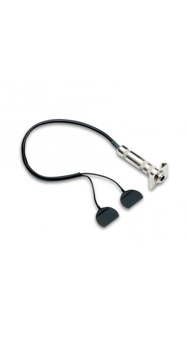 Fishman BP-100 Bass Pickup