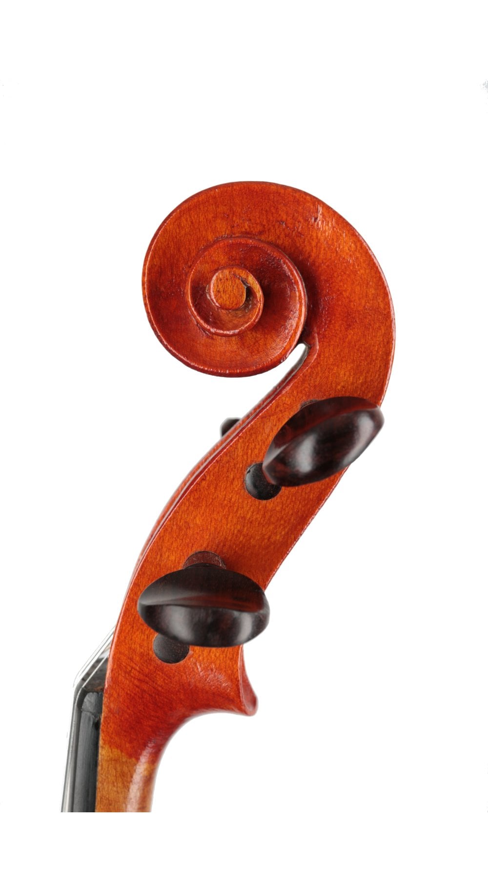 ⚫︎An Old French Violin Bow / J.T.L Old French violin by J.T.L.