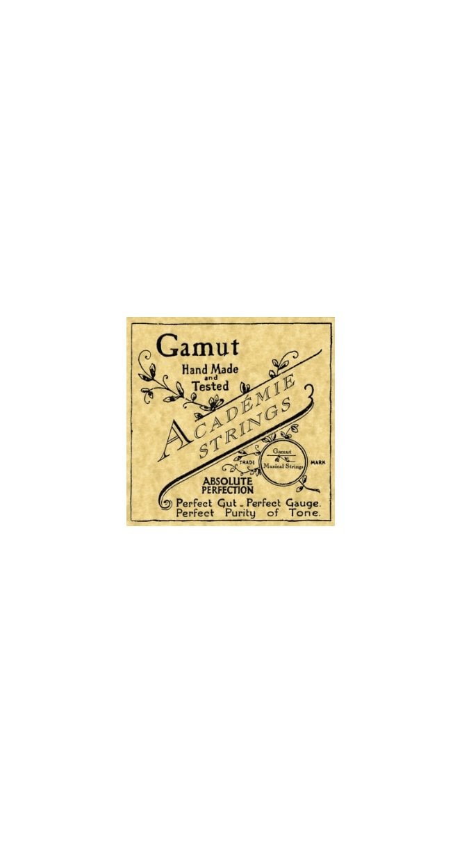 Gamut  Double Bass Strings