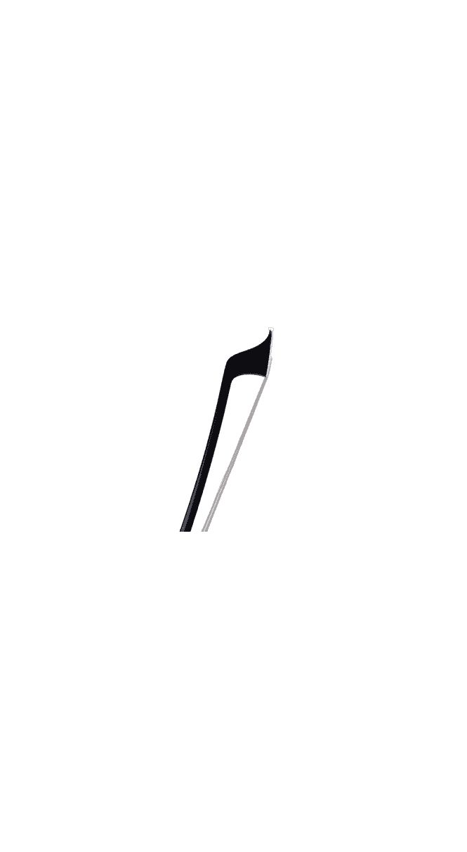 Karl Hofner AS34 Carbon Bass Bow German or French Pattern