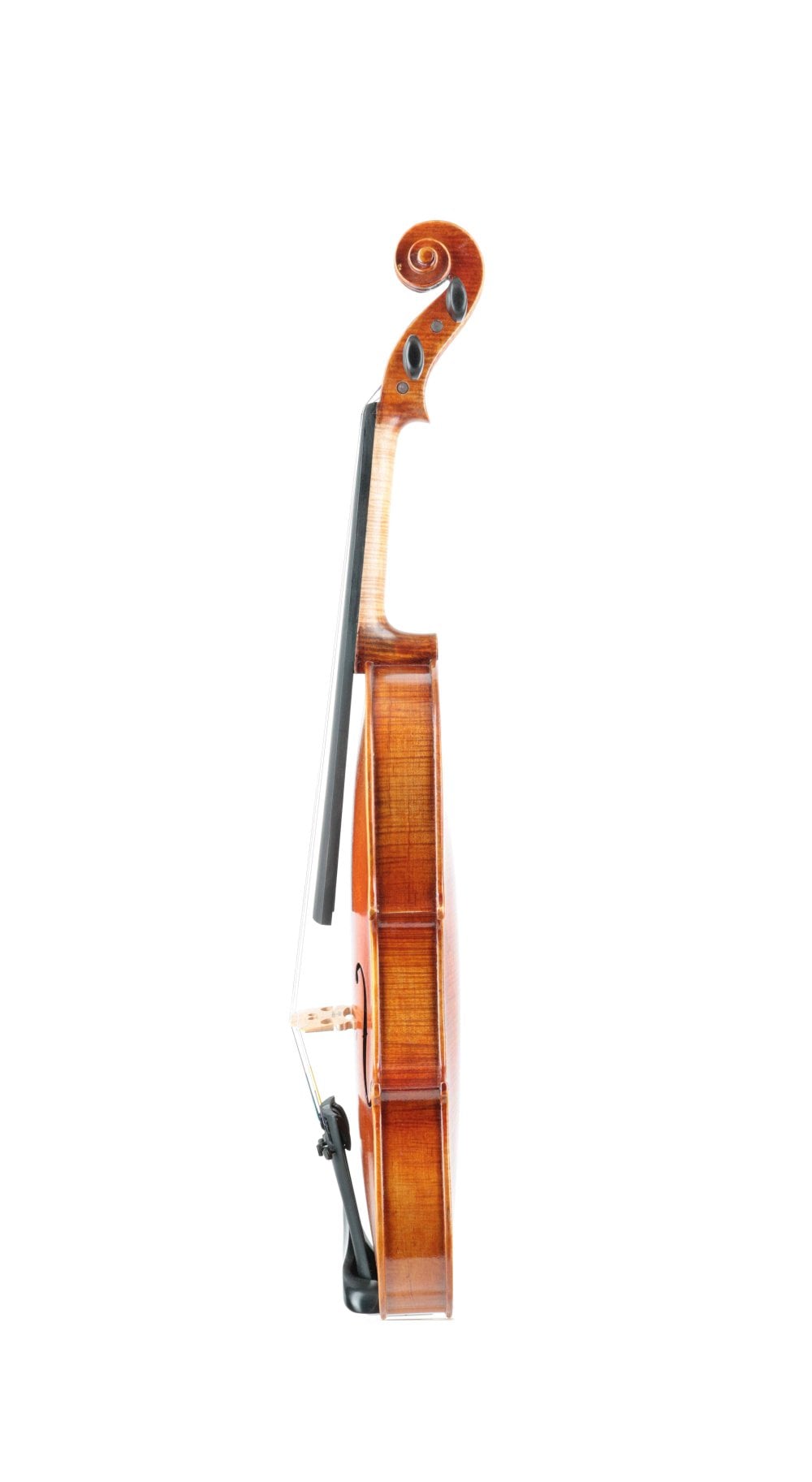 Reserve Stradivari model makers violin 2024 - Instruments from
