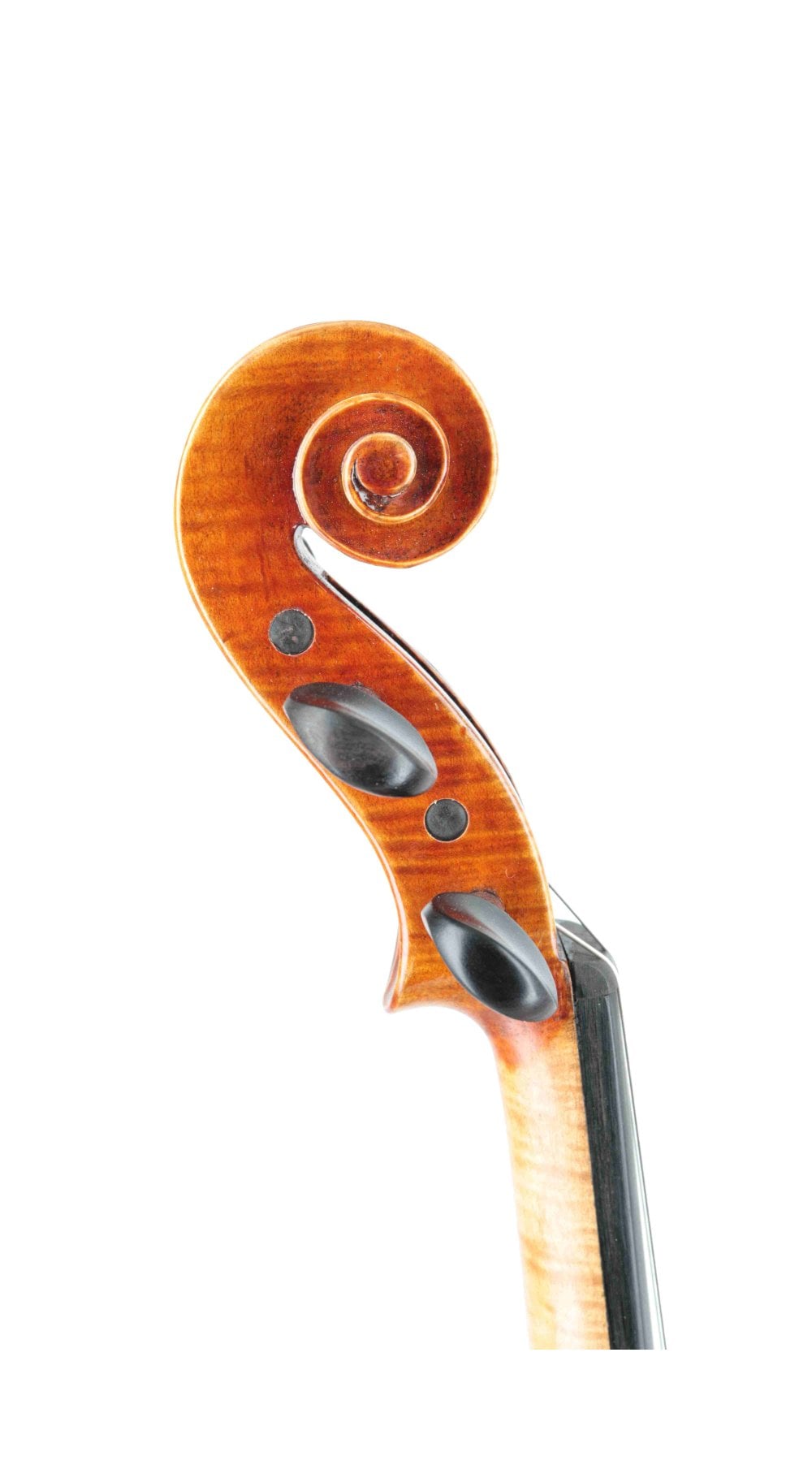 Reserve Stradivari model makers violin 2024 - Instruments from