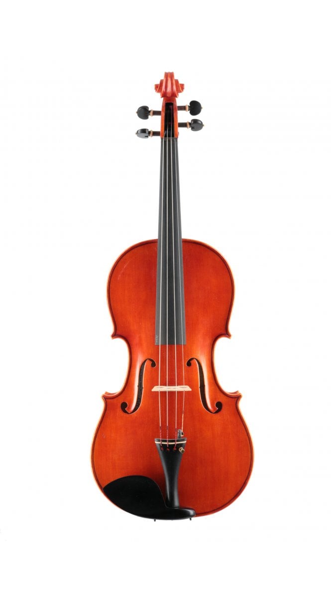 Viola by Daniele Ranieri, Rome 2019 16.75"