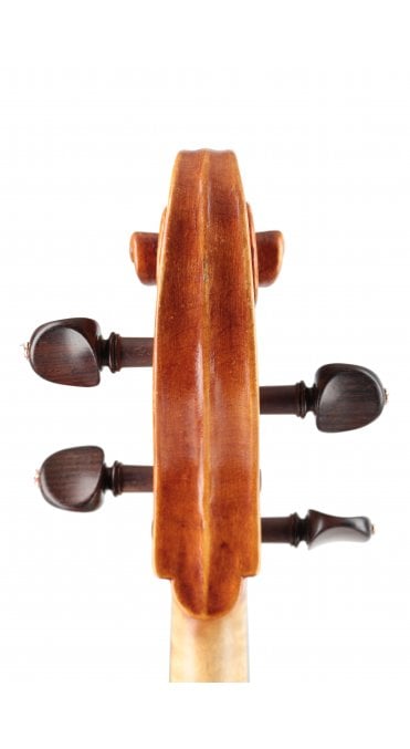 Viola by David Rattray 2009