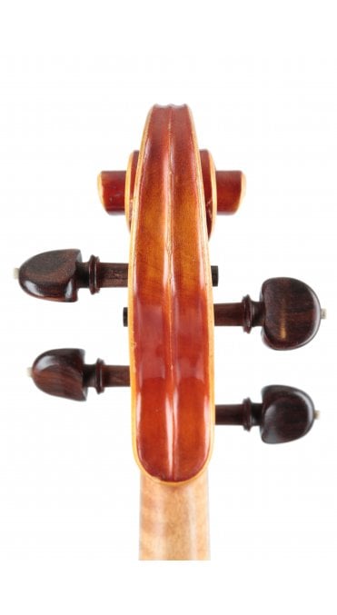 Viola by Nigel Harris