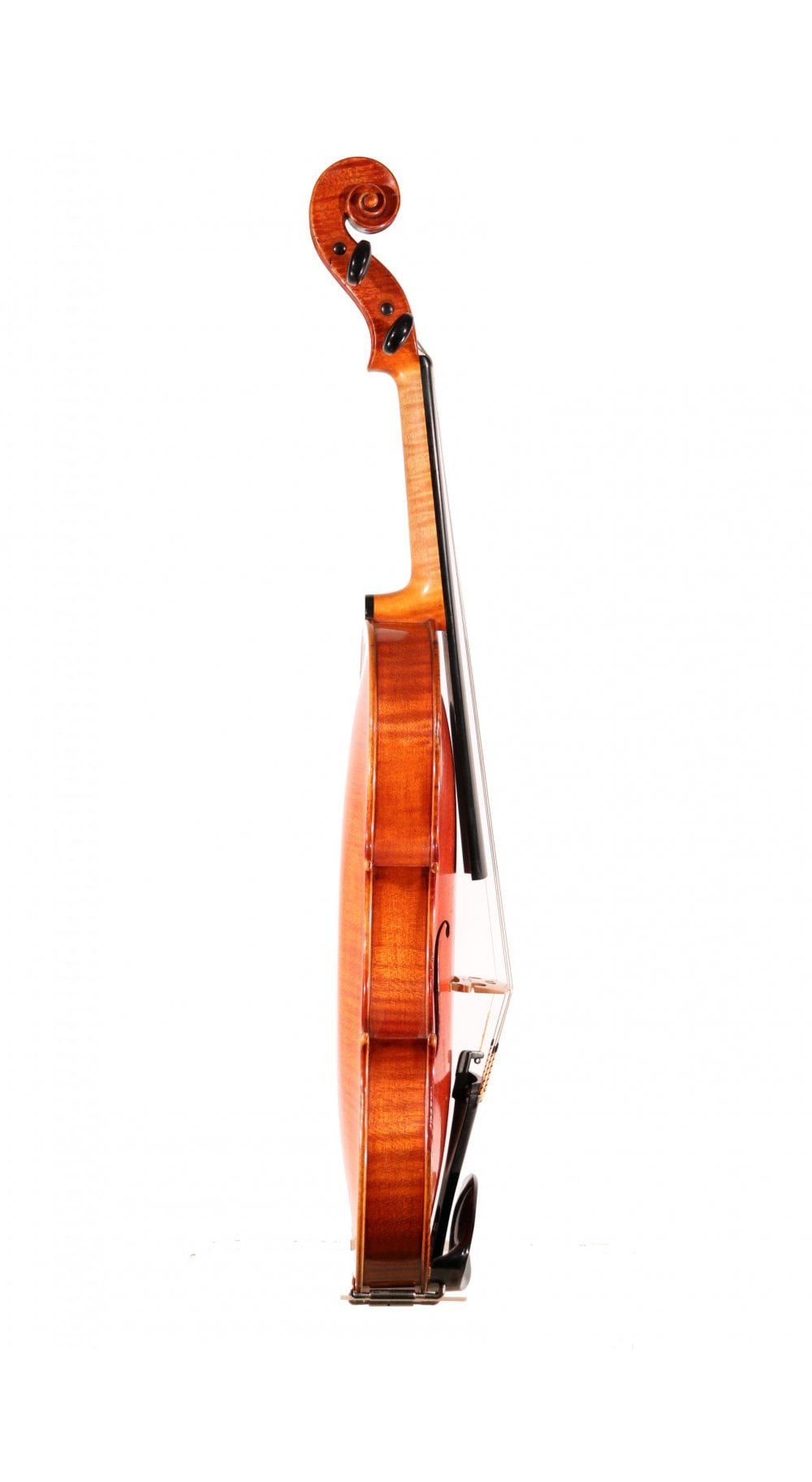 Violin by Benjamin Banks, Salisbury 1790 - Instruments from