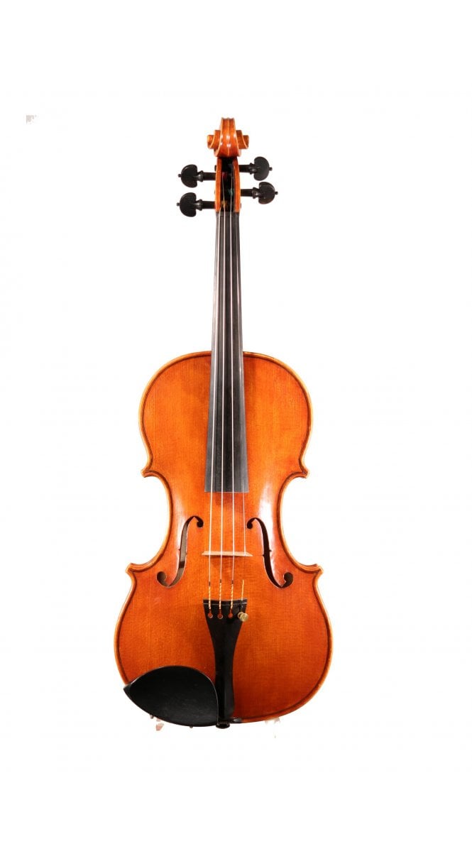 Violin by John Stephen Ryan 2010