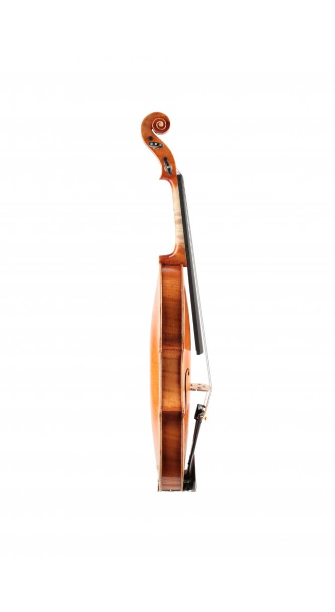 Violin by Paris Andrew, Florence 2023