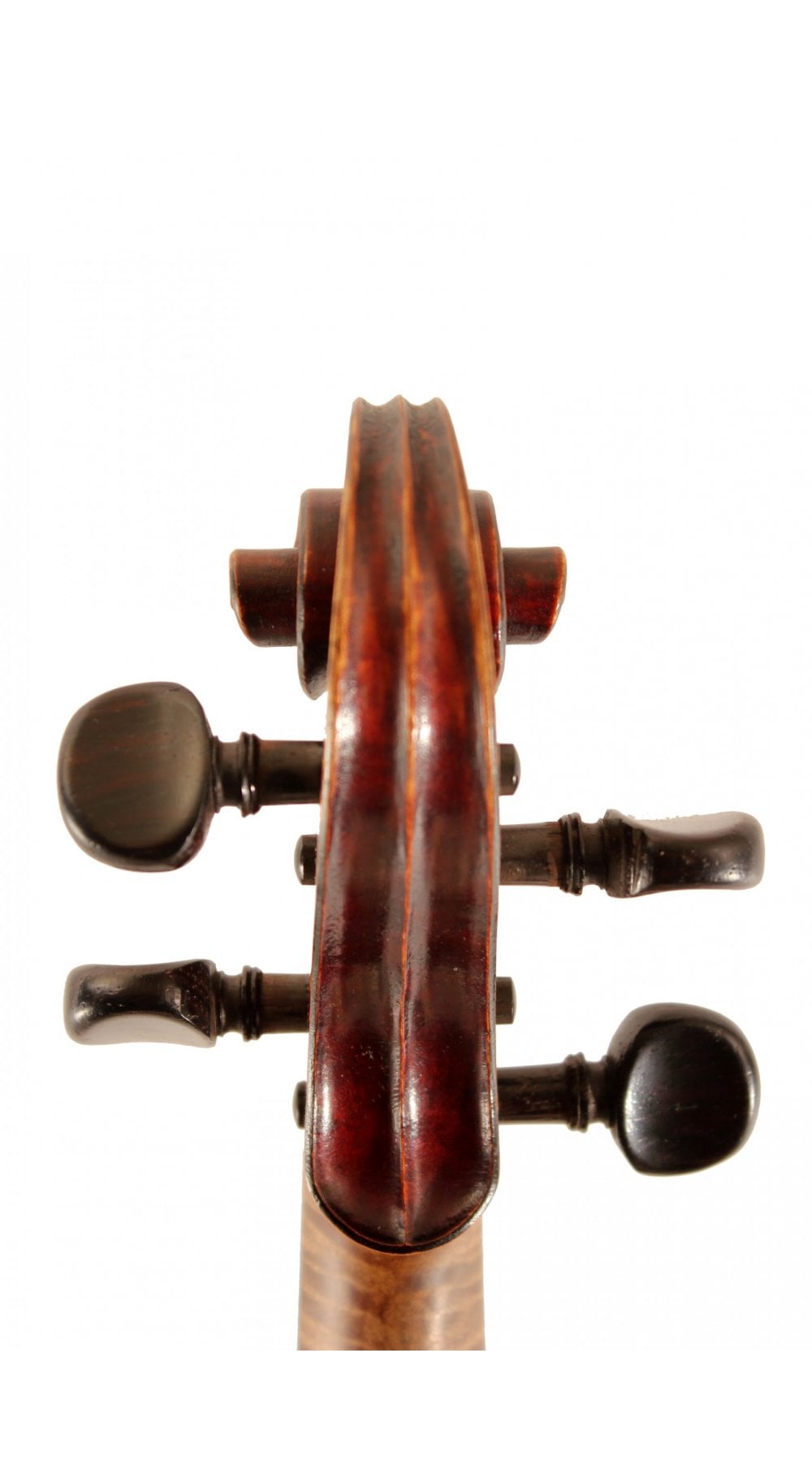 Violin by W.E.Hill & Sons - Charles Francois Langonet 1906