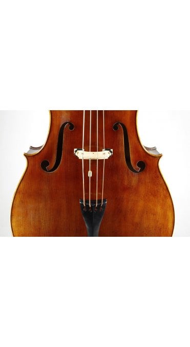 Wolf Note Eliminators New Harmony